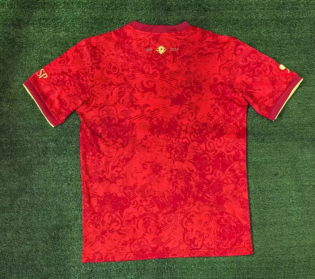 2024 Spain Special Edition Football Shirt