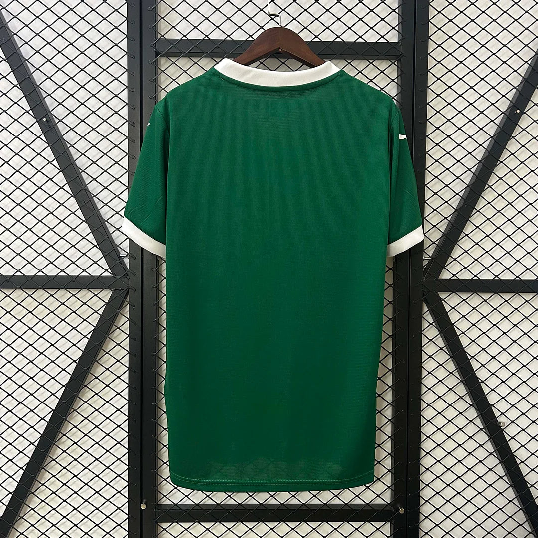 2025/2026 Palmeiras Home Jersey
