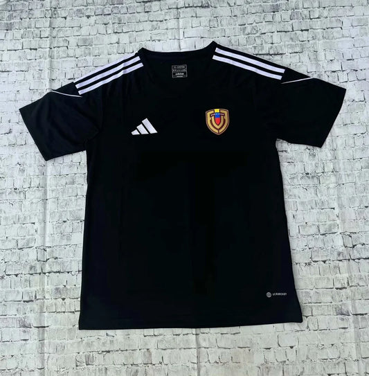 2024 Venezuela National Team Training Wear Football Shirt